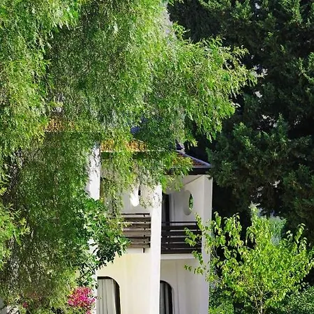 Dogan Paradise אוזדרה